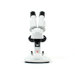 I-Explore Microscope