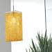 Aurea 1 Light Pendant