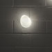 Sasso 1 Light Wall Sconce