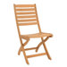 Basic Folding Chair