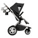 Foray LX Stroller