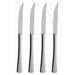 Karina 4 Piece Steak Knife Set