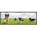 The Piddle Place�  Protective Piddle Guard