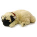 Pug Soft Toy