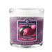 Berry Sorbet Jar Candle