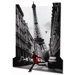 Framed 3D La Veste Rouge Poster