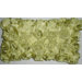 Baby Cabbage Decorative Pillow