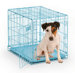 iCrate Fashion Edition Dog Crate