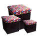 Collapsible Storage Box (Set of 3)