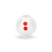 Paci Egg