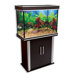 Nautilus I Aquarium with Silver Trim and Stand in Black