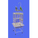 Medium Play Top Bird Cage