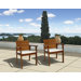 Amazonia Vincent Chair with Cushion (Set of 2)