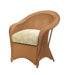 Giardino Dining Arm Chair with Cushion