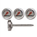 Set of Four Outdoor Grilling Steak Thermometers