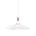 Diz 1 Light Monopoint Pendant