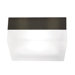 2 Light Flush Mount