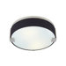 Baxter 2 Light Round Flush Mount