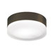 2 Light Flush Mount
