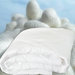 Dreamtime Mulberry Silk Down Comforter
