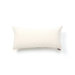 Odyssey Oblong Pillow