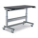 48" W Single Surface Elevate Electric Lift Table