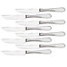 8 Piece Steak Knife Set