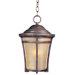 Balboa VX Outdoor Hanging in Copper Oxide