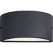 Zenith Outdoor Wall Sconce