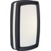 Zenith Outdoor Wall Sconce