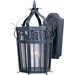 Cathedral One Light Outdoor Wall Lantern in Country Forge