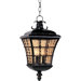 Orleans Outdoor Hanging Lantern in Oil Rubbed Bronze