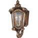 Bastille VX 15" Outdoor Wall Lantern