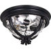 Camden VX  Outdoor Ceiling Mount in Black