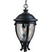 Camden VX  Outdoor Hanging Lantern in Black