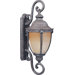 Morrow Bay Outdoor Wall Lantern with in Earth Tone - Energy Star