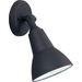 Large  Outdoor Flood Light