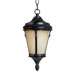 Odessa Outdoor Hanging Lantern - Energy Star