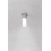 Dupla Outdoor Ceiling Light