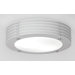 Lyra Disc Wall / Ceiling Light
