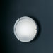 Niki Wall / Ceiling Light