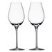 Difference Fruit Wine Glass (Set of 2)