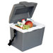 Traveller III Electric Cooler