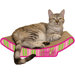 Cozy Curl Recycled Paper Cat Scratching Board