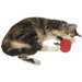 Cat 'n Around Apple Refillable Catnip Toy