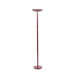 Halogen Tochiere in Burgundy