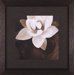 Amazon Lotus Framed Artwork