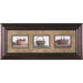 Still Life Trilogy Framed Artwork