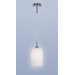 Pendant in Satin Chrome