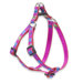 Wing It 1/2" Adjustable Small Dog Step-In Harness